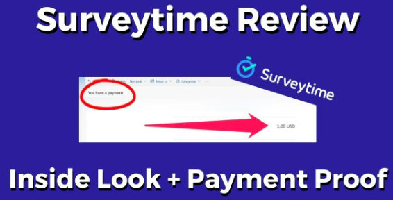 Surveytime review